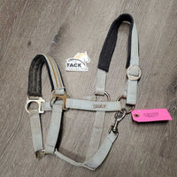 Padded Nylon Halter, snap *fair/gc, dirty, stained, hairy, rusty, mnr fraying, faded, older
