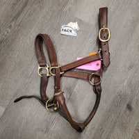 Rsd/Padded FS Leather Halter, adj, BROKEN snap *gc, dirt, stains, curled chin strap
