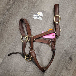 Rsd/Padded FS Leather Halter, adj, BROKEN snap *gc, dirt, stains, curled chin strap