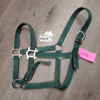 Thin Nylon Halter, adj *fair, clean, faded, v.rubbed, torn hole, stains, hairy, rust, frays
