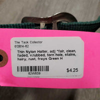 Thin Nylon Halter, adj *fair, clean, faded, v.rubbed, torn hole, stains, hairy, rust, frays
