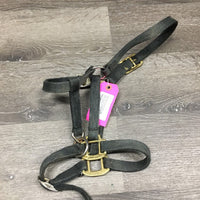 Stiff Nylon Halter, adj, snap *fair, dirty, faded, smells, rusty, frayed edges & rubs
