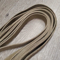 Hvy Cotton Web Lunge Line, 20" nose chain, loop handle *fair/gc, older, faded, v.rusty, dirt, rubs, stains
