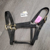 Thick Nylon Halter *gc, faded, dirty, rubs, pills, hole: missing grommet & mnr frayed
