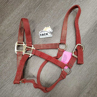 Thick Nylon Halter *fair, v.dirty, faded, stains, frayed edges & holes
