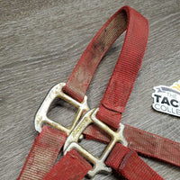 Thick Nylon Halter *fair, v.dirty, faded, stains, frayed edges & holes
