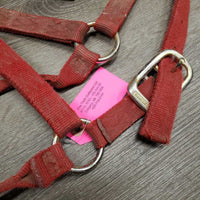 Thick Nylon Halter *fair, v.dirty, faded, stains, frayed edges & holes
