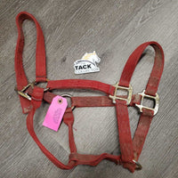 Thick Nylon Halter *fair, v.dirty, faded, stains, frayed edges & holes
