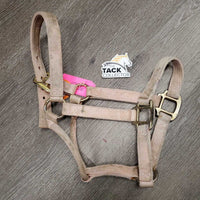 Thick Nylon Halter *fair/gc, discolored, faded, stains, dirty, frayed edges & holes
