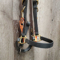 Biothane Halter Bridle, 2 snap cheeks, loop reins, breastcollar *vgc, clean, v.oxidized, cut cheeks, mnr stains
