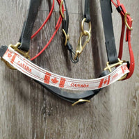 Biothane Halter Bridle, 2 snap cheeks *xc, v.mnr dirt, v.large browband loops
