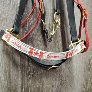 Biothane Halter Bridle, 2 snap cheeks *xc, v.mnr dirt, v.large browband loops