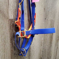 Biothane Halter-Bridle, 2 snap cheeks, Breastcollar *vgc, clean, mnr oxidized & residue, discolored/stains
