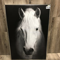 Grey Horse Canvas Print, Framed *vgc
