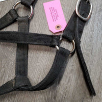 Stiff Nylon Halter *gc, rubs, faded, edges: frayed, rubs & curled, hair, dirty
