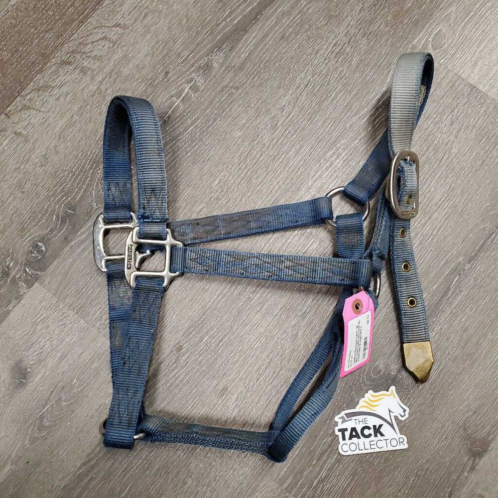 Thick Nylon Halter *gc, dirty, stains, faded, bent metal tip, frayed holes & edges