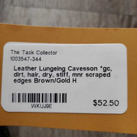 Leather Lungeing Cavesson *gc, dirt, hair, dry, stiff, mnr scraped edges
