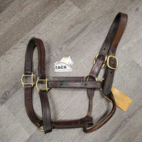 Triple Stitch Leather Halter *fair, older, dents, stained/discolour, oxidization, name plate holes, rubbed, dry
