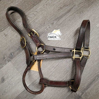 Triple Stitch Leather Halter *fair, older, dents, stained/discolour, oxidization, name plate holes, rubbed, dry
