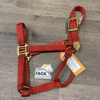 Thick Soft Nylon Halter *vgc, mnr dirt, stains & scuffs
