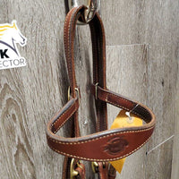 Headstall, Nylon Horsemanship Mecate Reins, Slobber Straps *xc, mnr stains & snags, letter stamp
