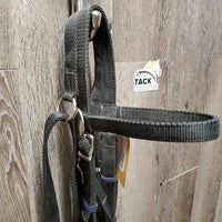 Nylon Surcingle, Girth, Bridle, Bit, Overcheck/Tail Strap, Side Reins, 14' Line *fair, dirt, faded, torn edges, top: cracked, missing ring, frayed holes
