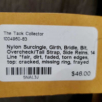 Nylon Surcingle, Girth, Bridle, Bit, Overcheck/Tail Strap, Side Reins, 14' Line *fair, dirt, faded, torn edges, top: cracked, missing ring, frayed holes
