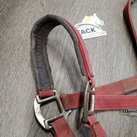 Nylon Padded Halter *fair/gc, older, stiff, rough, faded, stains, edge rubs & frays, cracking nose, rusty
