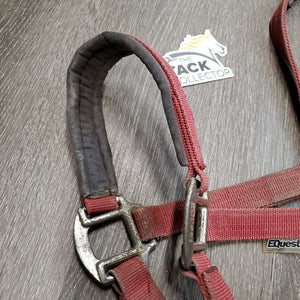 Nylon Padded Halter *fair/gc, older, stiff, rough, faded, stains, edge rubs & frays, cracking nose, rusty