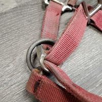 Nylon Padded Halter *fair/gc, older, stiff, rough, faded, stains, edge rubs & frays, cracking nose, rusty
