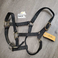 Thick Nylon Halter, adj, snap *gc, v.drirty, faded, frayed & rubbed edges, mnr frayed hole, rubs
