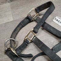 Thick Nylon Halter, adj, snap *gc, v.drirty, faded, frayed & rubbed edges, mnr frayed hole, rubs
