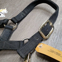 Thick Nylon Halter, adj, snap *gc, v.drirty, faded, frayed & rubbed edges, mnr frayed hole, rubs
