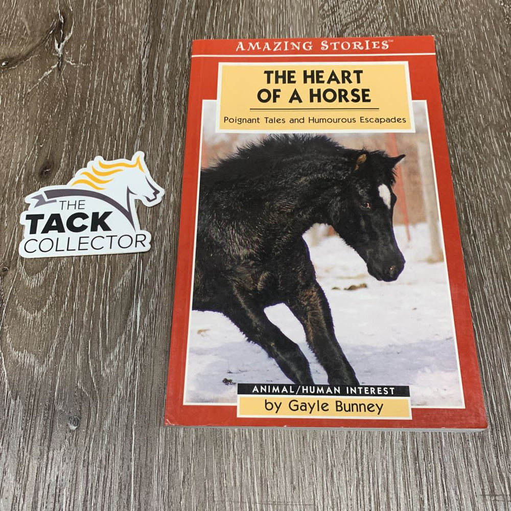 The Heart of a Horse by Gayle Bunney *vgc, mnr torn cover & rubs