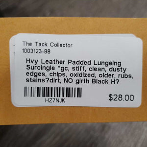 Hvy Leather Padded Lungeing Surcingle *gc, stiff, clean, dusty edges, chips, oxidized, older, rubs, stains?dirt, NO girth