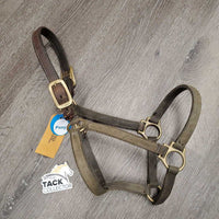 Hvy Nylon Halter, Thick Leather Crown, snap *fair, broken end, v.dirty, stained, faded, frayed edges, older
