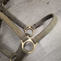 Hvy Nylon Halter, Thick Leather Crown, snap *fair, broken end, v.dirty, stained, faded, frayed edges, older
