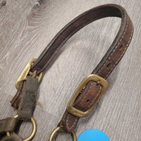 Hvy Nylon Halter, Thick Leather Crown, snap *fair, broken end, v.dirty, stained, faded, frayed edges, older
