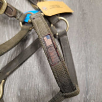 Hvy Nylon Halter, Thick Leather Crown, snap *fair, broken end, v.dirty, stained, faded, frayed edges, older
