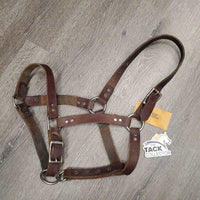 Wide Thick Soft Leather Halter, rivets, adj *gc, stains, dirt, rubs, curled end, scraped edges
