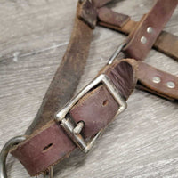 Wide Thick Soft Leather Halter, rivets, adj *gc, stains, dirt, rubs, curled end, scraped edges
