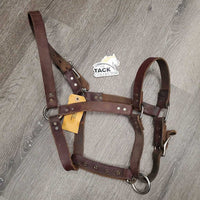 Wide Thick Soft Leather Halter, rivets, adj *gc, stains, dirt, rubs, curled end, scraped edges
