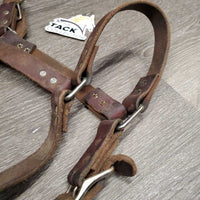 Wide Thick Soft Leather Halter, rivets, adj *gc, stains, dirt, rubs, curled end, scraped edges
