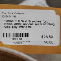 Full Seat Breeches *gc, stains, older, undone seam stitching, rubs, pilly
