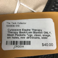 Therapy Back/Loin Blanket ONLY, Mesh Pockets *vgc, clean, snags, sm holes, mnr dirt/stains, older
