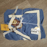 Cotton Stable Sheet, "AHHS Lakeside Champ", 2 legs *gc/fair, older, rubs mnr hair, faded, stains, threads, tears, clean
