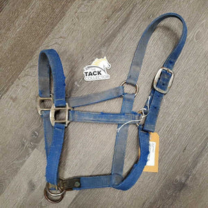 Thick Nylon Halter, Slip Nose *fair, v.stiff, rusty, v.dirty, faded, rough/torn edges
