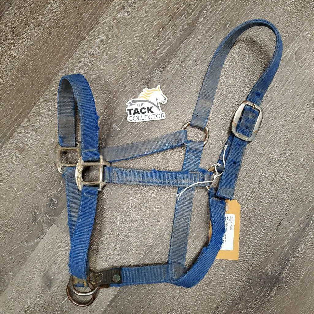 Thick Nylon Halter, Slip Nose *fair, v.stiff, rusty, v.dirty, faded, rough/torn edges