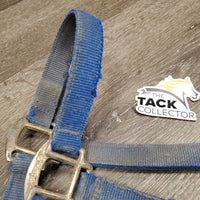 Thick Nylon Halter, Slip Nose *fair, v.stiff, rusty, v.dirty, faded, rough/torn edges
