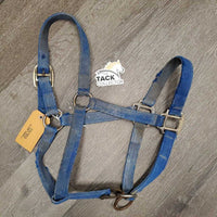 Thick Nylon Halter, Slip Nose *fair, v.stiff, rusty, v.dirty, faded, rough/torn edges
